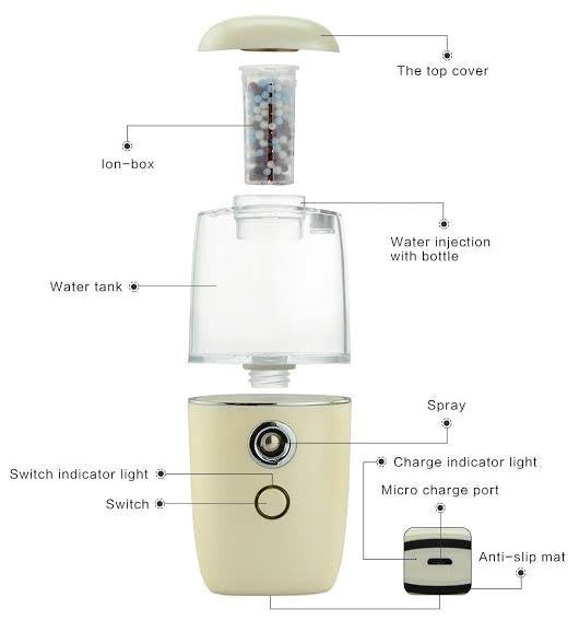 Portable Mini Face Mist Handy Sprayer