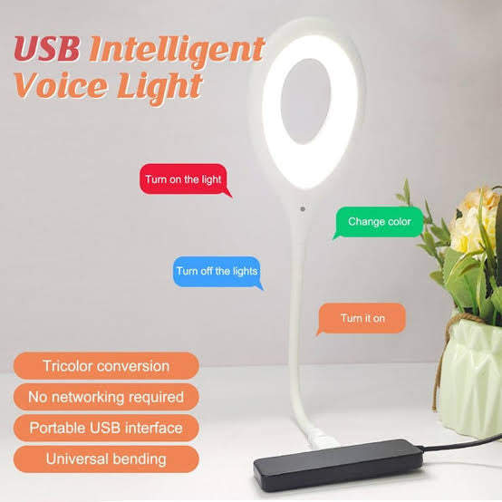 Smart Voice Control LED Light