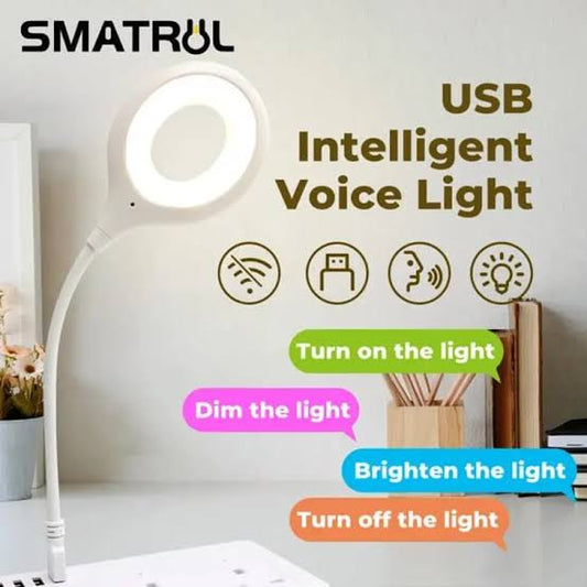 Smart Voice Control LED Light