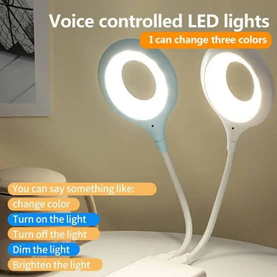 Smart Voice Control LED Light