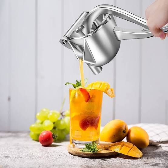 Stainless Steel Fruit Press